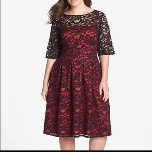 Contrast lace fit and flare dress